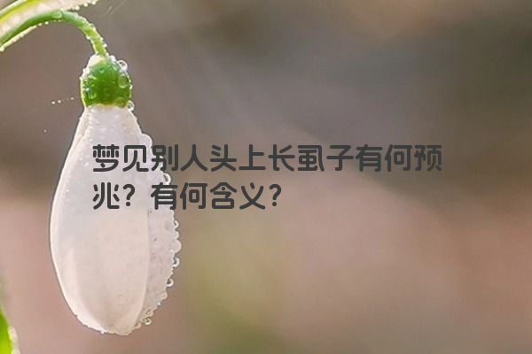 梦见别人头上长虱子有何预兆?有何含义? 梦见别人头上长虱子有何预兆?有何含义?